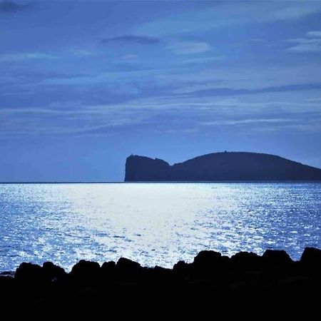 Alghero Sun & Sea - Spiaggia A 50 Metri المظهر الخارجي الصورة