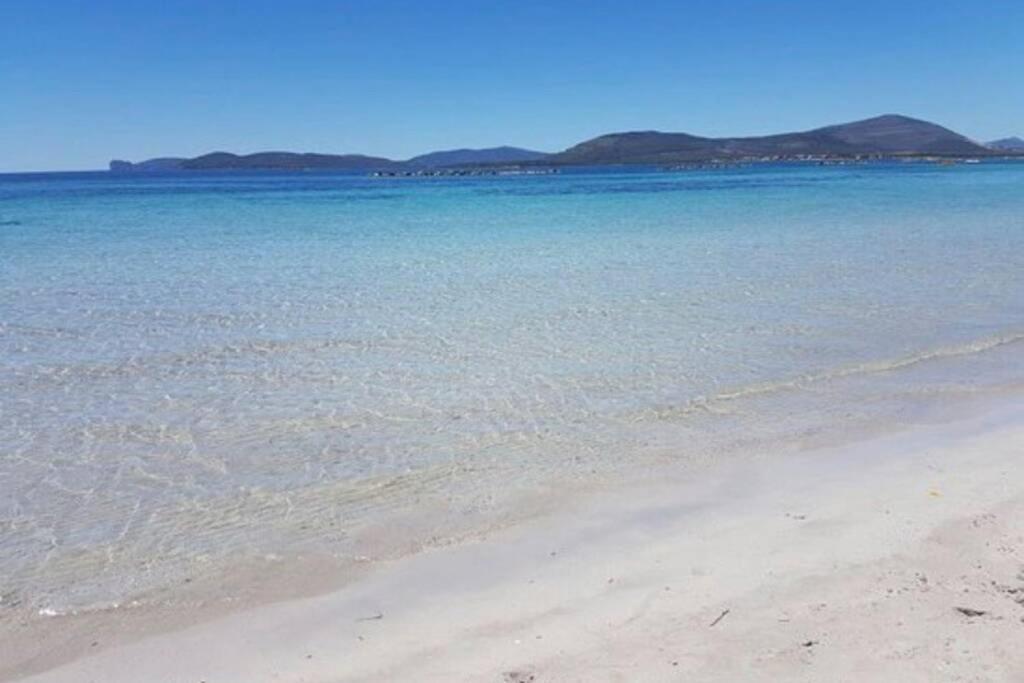Alghero Sun & Sea - Spiaggia A 50 Metri المظهر الخارجي الصورة